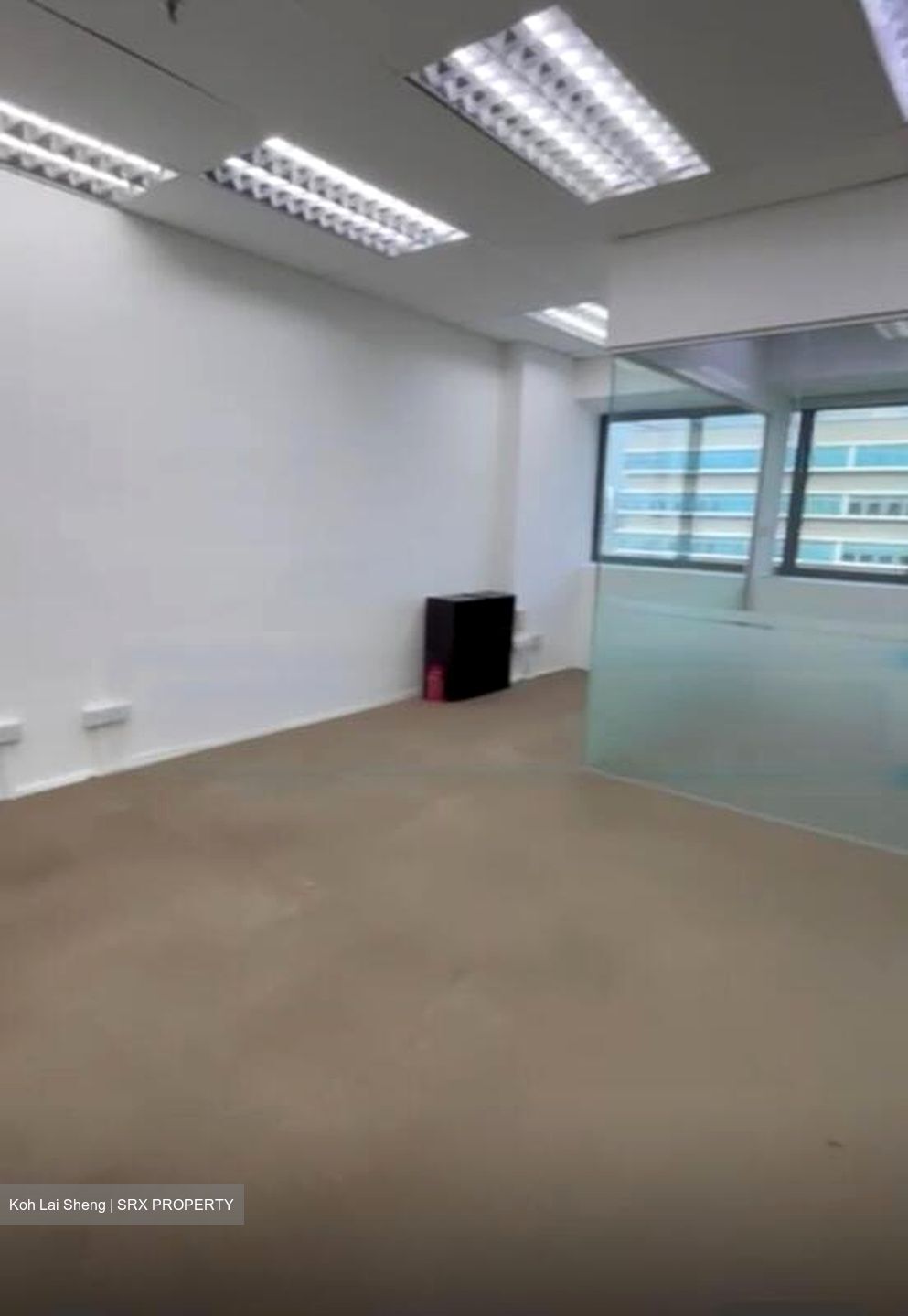 Zervex (D14), Factory #473091111